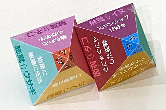 動物版感覚のシンプル問診表の立体模型