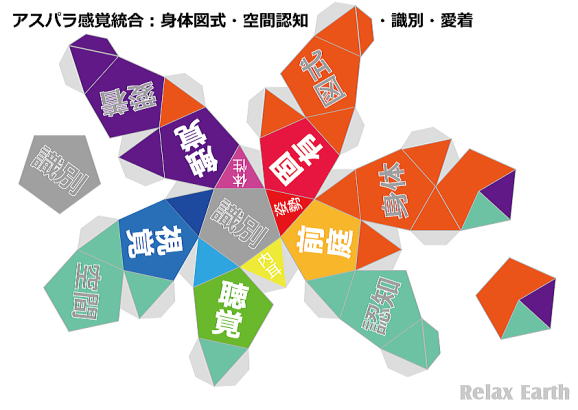 感覚統合用語の二十面十二面体展開図