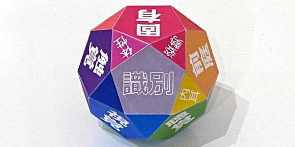 体性感覚と姿勢と内耳神経の立体模型