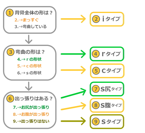 ６つの姿勢タイプをチャートで診断