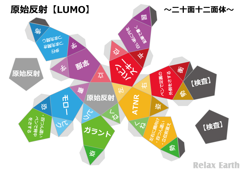 原始反射の二十面十二面体展開図