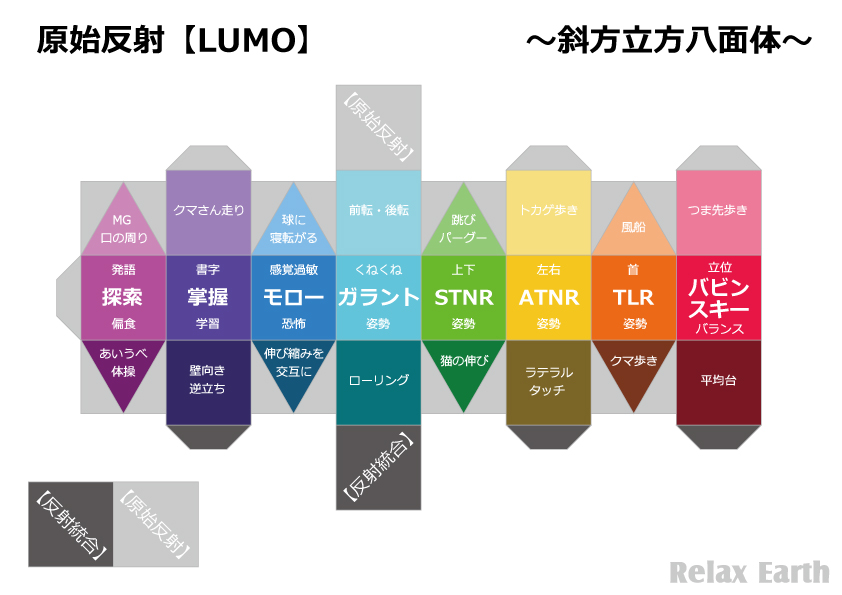 原始反射の斜方立方八面体の展開図
