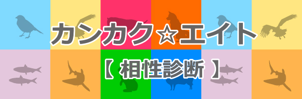 感覚８パーソナリティー（Sensory８Personality）_立体模型