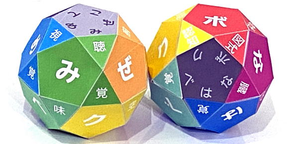 感覚系用語の語呂合わせ立体模型